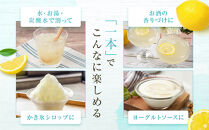 檸檬シロップ　520ml&nbsp;|&nbsp;湯河原町&nbsp;湘南&nbsp;柑橘&nbsp;レモン&nbsp;シロップ&nbsp;手作り&nbsp;フルーツ&nbsp;アレンジ