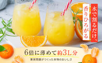 橙柑シロップ　520ml|&nbsp;湯河原町&nbsp;湘南&nbsp;柑橘&nbsp;だいだい&nbsp;シロップ&nbsp;手作り&nbsp;フルーツ&nbsp;アレンジ