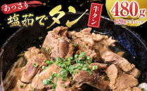 あっさり塩&nbsp;茹でタン&nbsp;１パック牛タン120グラム×4個　宮城県共通返礼品