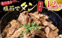 あっさり塩&nbsp;茹でタン&nbsp;１パック牛タン120グラム×10個　宮城県共通返礼品