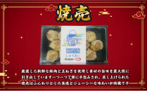 【定期便5ヶ月】ふじのくにデリシャス焼売（12個×1）【配送不可：北海道・沖縄・離島】