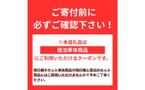 ≪宿泊のみ≫名古屋市に泊まる&nbsp;ふるさと納税旅行クーポン【3,000円分】