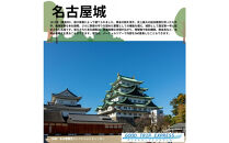 ≪宿泊のみ≫名古屋市に泊まる&nbsp;ふるさと納税旅行クーポン【3,000円分】