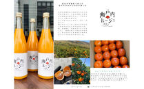 きたさんちのみかんジュース【瀬戸内ルージュ】小原紅早生みかん100％　720ml×2本セット