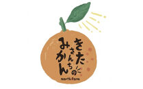 【先行予約】きたさんちのみかん　小原紅早生みかん4.5kg　ご家庭用（Sサイズ）【12月上旬発送】