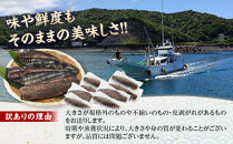 かつお一本釣り漁師が直送！&nbsp;日帰りかつおの藁焼きたたき&nbsp;訳あり&nbsp;2.2kg入