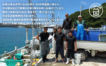 かつお一本釣り漁師が直送！&nbsp;日帰りかつおの藁焼きたたき&nbsp;訳あり&nbsp;2.2kg入