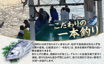 かつお一本釣り漁師が直送！&nbsp;日帰り生かつお&nbsp;訳あり&nbsp;2.2kg入