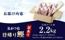 かつお一本釣り漁師が直送！&nbsp;日帰り生かつお&nbsp;訳あり&nbsp;2.2kg入