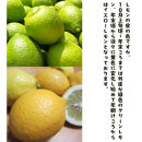 ［先行予約］紀州和歌山&nbsp;ご家庭用&nbsp;有田&nbsp;レモン&nbsp;1kg［MS150］