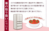 [先行予約]&nbsp;和歌山県&nbsp;オリジナル&nbsp;まりひめ&nbsp;イチゴ&nbsp;2パック入り（3L～L寸）
