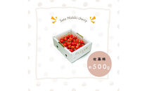 【2026年発送】♪山形産さくらんぼ　佐藤錦♪　秀品　Lサイズ　約500g