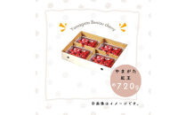 【2026年発送】♪山形産さくらんぼ　やまがた紅王♪　秀品　2Lサイズ　約720g