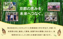 【DELICEキョウト】京味新辛&nbsp;筍鹿そぼろ&nbsp;80g×3袋｜京都&nbsp;そぼろ&nbsp;人気セット［&nbsp;京都大枝塚原産筍&nbsp;京北ジビエ&nbsp;旨辛そぼろ&nbsp;ご飯のお供&nbsp;グルメ&nbsp;こだわり&nbsp;おいしい&nbsp;おすすめ&nbsp;家庭用&nbsp;人気&nbsp;おにぎり&nbsp;お弁当&nbsp;ギフト&nbsp;プレゼント&nbsp;贈答&nbsp;お取り寄せ&nbsp;通販&nbsp;送料無料&nbsp;ふるさと納税&nbsp;］