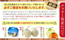 【先行予約】秀品&nbsp;北海道産赤肉メロン約1.6kg×2玉&nbsp;(2026年7月中旬から発送開始予定)&nbsp;_05926