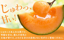 【先行予約】秀品&nbsp;北海道産赤肉メロン約1.6kg×2玉&nbsp;(2026年7月中旬から発送開始予定)&nbsp;_05926