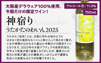 紀乃國わいん工房&nbsp;うたかたのわいん&nbsp;2025&nbsp;750ml