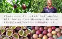 【数量限定】南国の味「10％パッションフルーツ果汁入り飲料」20本入り