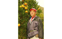 ＜先行予約／数量限定＞屋久島産たんかん&nbsp;自家用(訳あり品)&nbsp;約3kg(S～2Lサイズ・少々キズあり)【2027年2月中旬以降お届け】