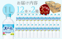 【定期便／全3回（毎月お届け）】サントリー天然水&nbsp;北アルプス&nbsp;1L&nbsp;ペットボトル&nbsp;24本（12本入り×2ケース）|&nbsp;水&nbsp;お水&nbsp;PET&nbsp;飲料&nbsp;ドリンク&nbsp;SUNTORY&nbsp;ミネラルウォーター&nbsp;お取り寄せ&nbsp;人気&nbsp;おすすめ&nbsp;1リットル&nbsp;送料無料&nbsp;長野県&nbsp;大町市