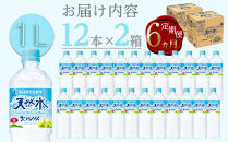 【定期便／全6回（毎月お届け）】サントリー天然水&nbsp;北アルプス&nbsp;1L&nbsp;ペットボトル&nbsp;24本（12本入り×2ケース）|&nbsp;水&nbsp;お水&nbsp;PET&nbsp;飲料&nbsp;ドリンク&nbsp;SUNTORY&nbsp;ミネラルウォーター&nbsp;お取り寄せ&nbsp;人気&nbsp;おすすめ&nbsp;1リットル&nbsp;送料無料&nbsp;長野県&nbsp;大町市