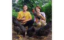 国産飼料の放牧有精卵「君は太陽」静岡発・サステナブルな循環型たまご&nbsp;10個×2パック&nbsp;|&nbsp;平飼い卵&nbsp;放牧卵&nbsp;放し飼い&nbsp;卵かけご飯おすすめ&nbsp;美味しい卵