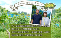 【2026年9月中旬頃より発送&nbsp;受付締切9月20日】ポポー&nbsp;約1kg【受取日事前打合せ可能な方限定】【配送不可：離島】幻の果実&nbsp;レア&nbsp;フルーツ&nbsp;ポポー&nbsp;健康&nbsp;美容&nbsp;美肌&nbsp;ファーム池の沢&nbsp;静岡市◇