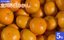 宮川早生みかん5kg&nbsp;|&nbsp;湯河原町&nbsp;みかん&nbsp;柑橘&nbsp;旬&nbsp;宮川早生&nbsp;5kg&nbsp;フルーツ