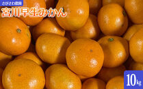 宮川早生みかん&nbsp;10kg&nbsp;|&nbsp;湯河原町&nbsp;みかん&nbsp;柑橘&nbsp;旬&nbsp;宮川早生&nbsp;10kg&nbsp;フルーツ