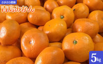 青島みかん5kg&nbsp;|&nbsp;湯河原町&nbsp;みかん&nbsp;柑橘&nbsp;旬&nbsp;青島みかん&nbsp;5kg&nbsp;フルーツ