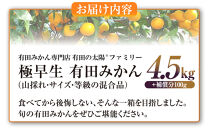有田みかん専門店&nbsp;有田の太陽®ファミリー&nbsp;極早生&nbsp;有田みかん&nbsp;4.5kg＋補償分100g&nbsp;山採れ・サイズ・等級&nbsp;混合