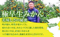 有田みかん専門店&nbsp;紅sunファミリー&nbsp;極早生&nbsp;有田みかん&nbsp;9.5kg＋補償分100g&nbsp;山採れ・サイズ・等級&nbsp;混合