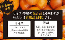 有田みかん専門店&nbsp;紅sunファミリー&nbsp;極早生&nbsp;有田みかん&nbsp;9.5kg＋補償分100g&nbsp;山採れ・サイズ・等級&nbsp;混合