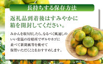 有田みかん専門店&nbsp;紅sunファミリー&nbsp;極早生&nbsp;有田みかん&nbsp;9.5kg＋補償分100g&nbsp;山採れ・サイズ・等級&nbsp;混合