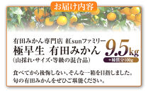 有田みかん専門店&nbsp;紅sunファミリー&nbsp;極早生&nbsp;有田みかん&nbsp;9.5kg＋補償分100g&nbsp;山採れ・サイズ・等級&nbsp;混合