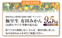 有田みかん専門店&nbsp;有田の太陽®ファミリー&nbsp;極早生&nbsp;有田みかん&nbsp;9.5kg＋補償分100g&nbsp;山採れ・サイズ・等級&nbsp;混合