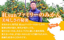 有田みかん専門店&nbsp;紅sunファミリー&nbsp;早生または晩生&nbsp;有田みかん&nbsp;2.5kg＋補償分100g&nbsp;山採れ・サイズ・等級&nbsp;混合