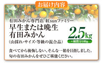 有田みかん専門店&nbsp;紅sunファミリー&nbsp;早生または晩生&nbsp;有田みかん&nbsp;2.5kg＋補償分100g&nbsp;山採れ・サイズ・等級&nbsp;混合