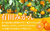 有田みかん専門店&nbsp;紅sunファミリー&nbsp;早生または晩生&nbsp;有田みかん&nbsp;4.5kg＋補償分100g&nbsp;山採れ・サイズ・等級&nbsp;混合