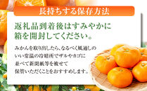 有田みかん専門店&nbsp;紅sunファミリー&nbsp;早生または晩生&nbsp;有田みかん&nbsp;4.5kg＋補償分100g&nbsp;山採れ・サイズ・等級&nbsp;混合