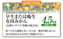 有田みかん専門店&nbsp;紅sunファミリー&nbsp;早生または晩生&nbsp;有田みかん&nbsp;4.5kg＋補償分100g&nbsp;山採れ・サイズ・等級&nbsp;混合