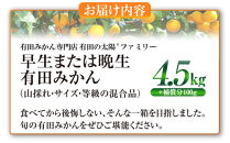 有田みかん専門店&nbsp;有田の太陽®ファミリー&nbsp;早生または晩生&nbsp;有田みかん&nbsp;4.5kg＋補償分100g&nbsp;山採れ・サイズ・等級&nbsp;混合