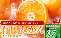 有田みかん専門店&nbsp;有田の太陽®ファミリー&nbsp;早生または晩生&nbsp;有田みかん&nbsp;9.5kg＋補償分100g&nbsp;山採れ・サイズ・等級&nbsp;混合