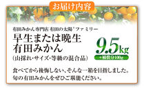 有田みかん専門店&nbsp;有田の太陽®ファミリー&nbsp;早生または晩生&nbsp;有田みかん&nbsp;9.5kg＋補償分100g&nbsp;山採れ・サイズ・等級&nbsp;混合