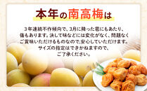 白干し梅&nbsp;2kg&nbsp;塩分&nbsp;20％［TR15w］
