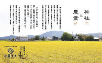 出雲神立米（つや姫）&nbsp;精米6kg（2kg×3袋）