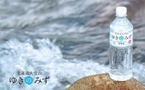 【毎月定期便】北海道大雪山　ゆきのみず　550ml×24本入り全10回【618】