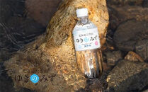 【毎月定期便】北海道大雪山　ゆきのみず　550ml×24本入り全10回【618】