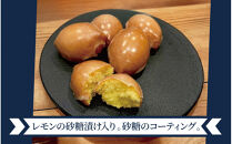 スワンとレモン　果肉入りのレモンケーキ　6個入り｜スイーツ&nbsp;人気&nbsp;おすすめ&nbsp;人気イラストレーター「トビマツショウイチロウ」デザインパッケージ&nbsp;幻のレモンケーキ&nbsp;入手困難スイーツ&nbsp;ご褒美スイーツ&nbsp;焼き菓子&nbsp;洋菓子ギフト&nbsp;おみやげ&nbsp;レモンのお菓子&nbsp;お取り寄せスイーツ&nbsp;贈り物&nbsp;おくりもの&nbsp;パティスリーサヴールオンドゥスール