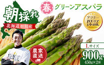 【2027年先行予約】農家直送&nbsp;朝採れ&nbsp;春グリーンアスパラ&nbsp;Lサイズ&nbsp;900g（450g×2袋）【&nbsp;野菜&nbsp;旬&nbsp;新鮮&nbsp;アスパラガス&nbsp;あすぱらがす&nbsp;asparagus&nbsp;ASPARAGUS&nbsp;北海道&nbsp;旭川市&nbsp;】_05933